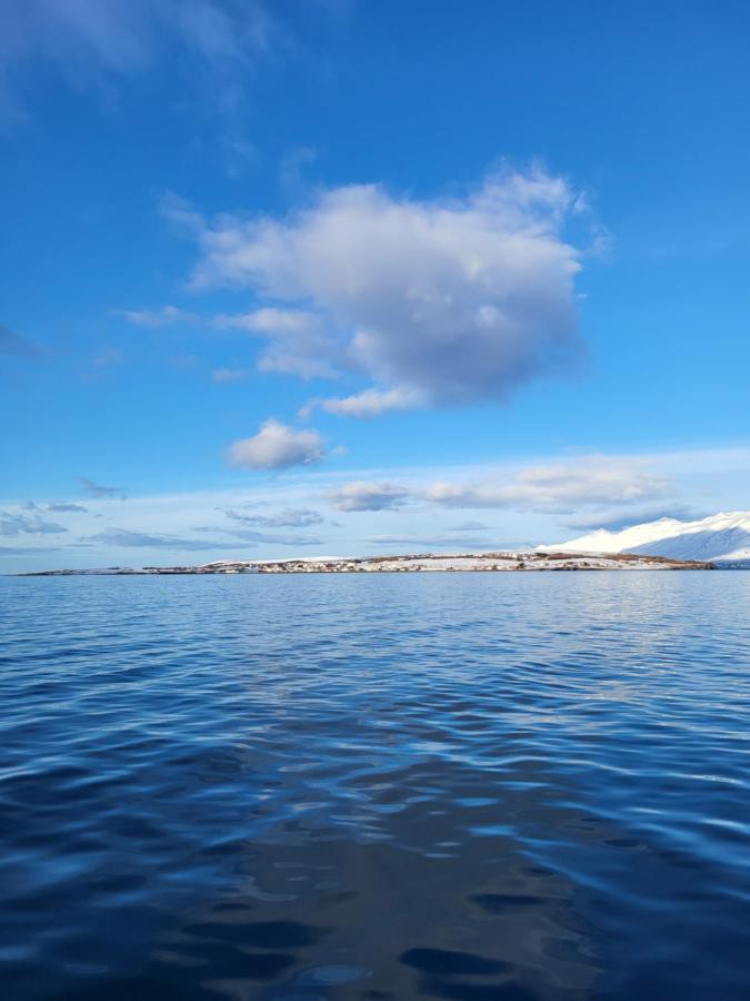 Ásgarður Hrisey Exterior foto